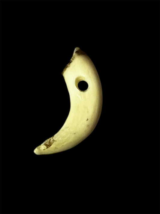 Boar Protection Amulet