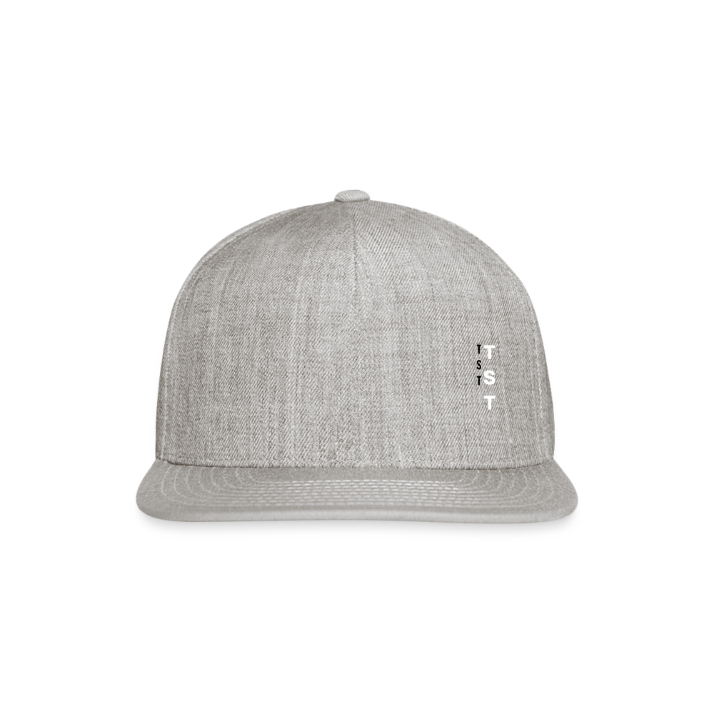 TST Snapback Baseball Cap - heather gray